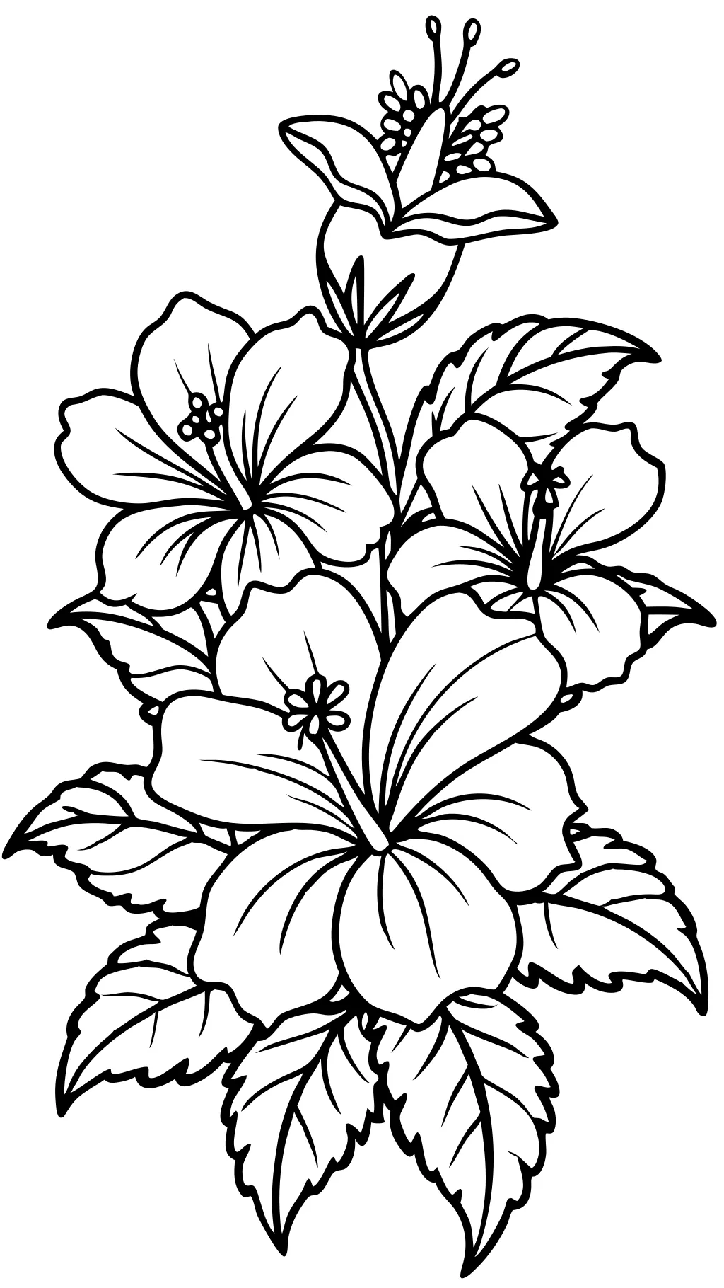 hibiscus coloring pages